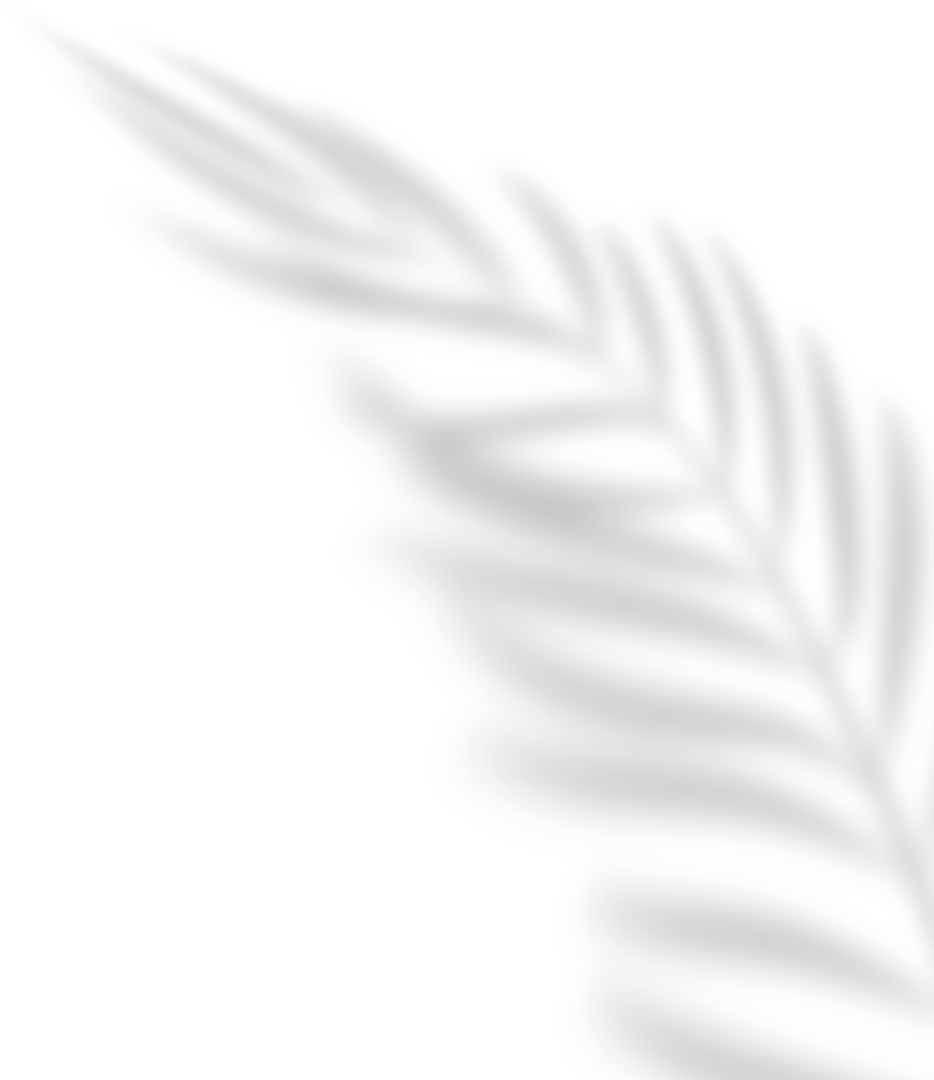 72 Carlyle Miami Beach rendering